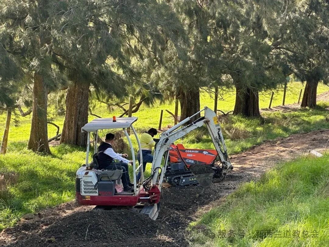 南半球第一道雷光：海外首座雷祖圣殿落成记
